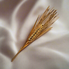 Brooch in 22k gold, handmade brooch, ears of corn brooch design, one of a kind