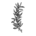 Greek Traditional Olive leaf brooch in Sterling silver (K-22)